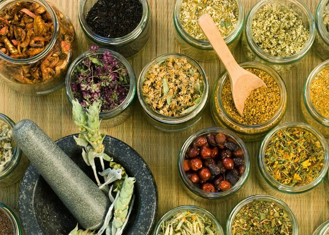 điều trị đau thần kinh tọa bằng đông y
