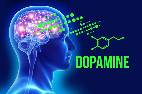 Dopamine là gì? Sự ảnh hưởng của Dopamine tới cơ thể