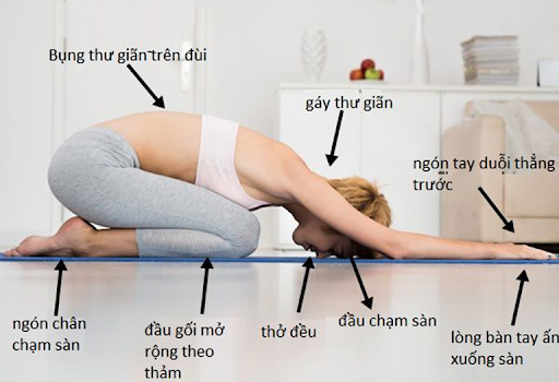 Top 10 bài tập yoga chữa đau thần kinh tọa giúp cơ thể dẻo dai