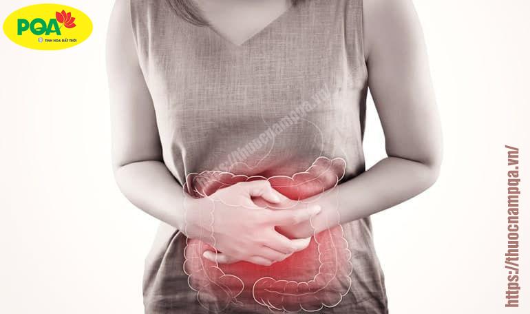 cách đi ngoài ngay lập tức