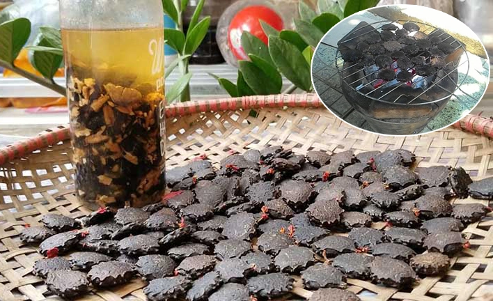 trị viêm mũi dị ứng tại nhà bằng hạt gấc