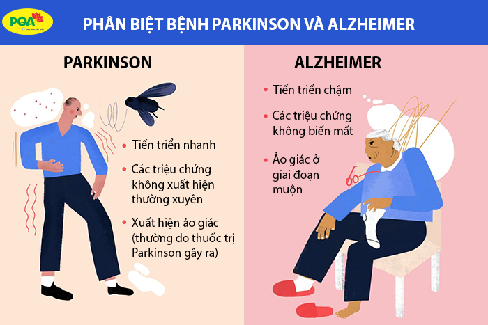 Phân biệt bệnh Alzheimer và Parkinson: Điểm giống và khác biệt