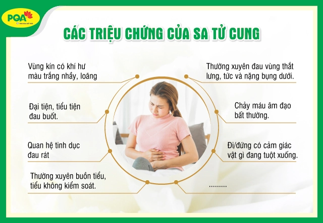 các dấu hiệu bạn bị sa tử cung sau sinh