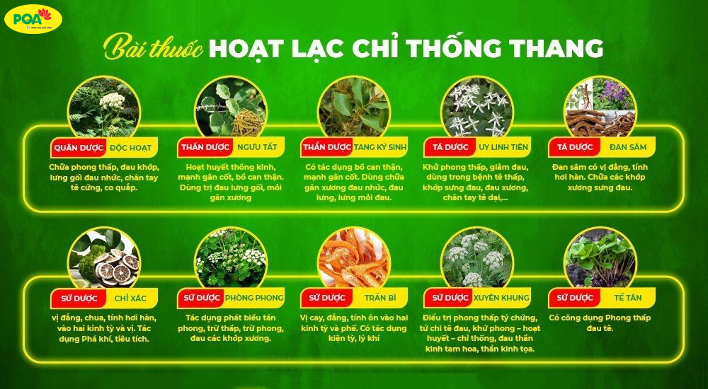 hoạt lạc chỉ thống thang