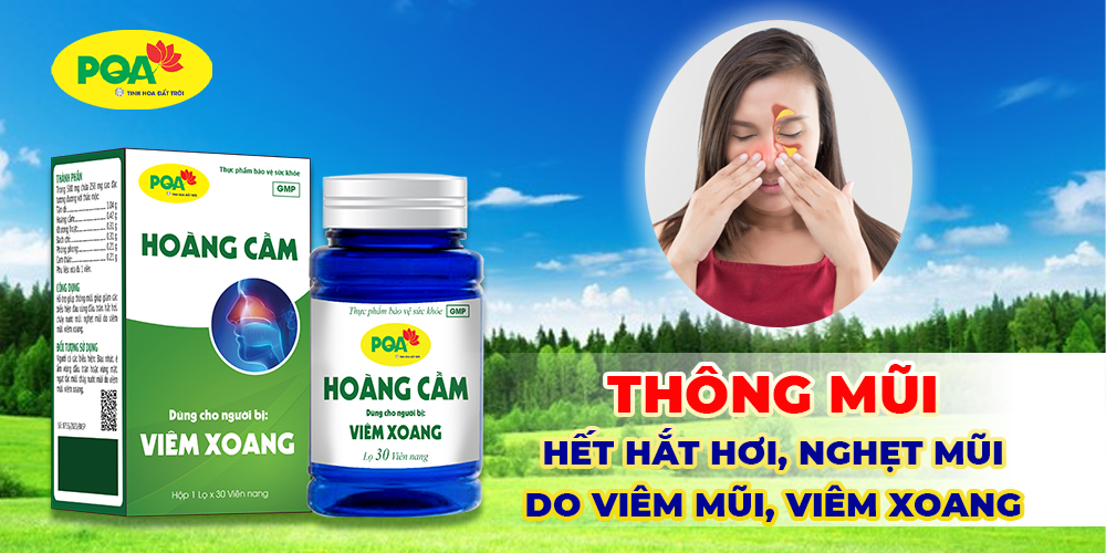 pqa hoàng cầm