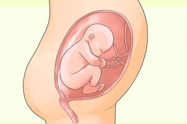 Táo bón gây ảnh hưởng tới thai nhi không?