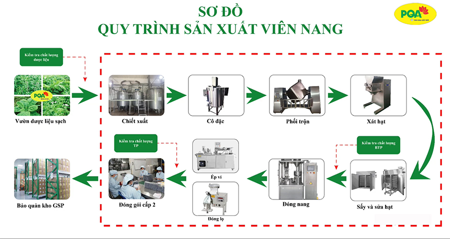 Quy trình sản xuất viên nang