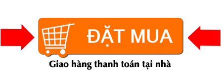 đặt hàng ngay