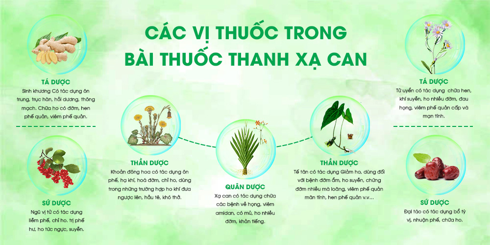 bài thuốc xạ can chữa ho hen