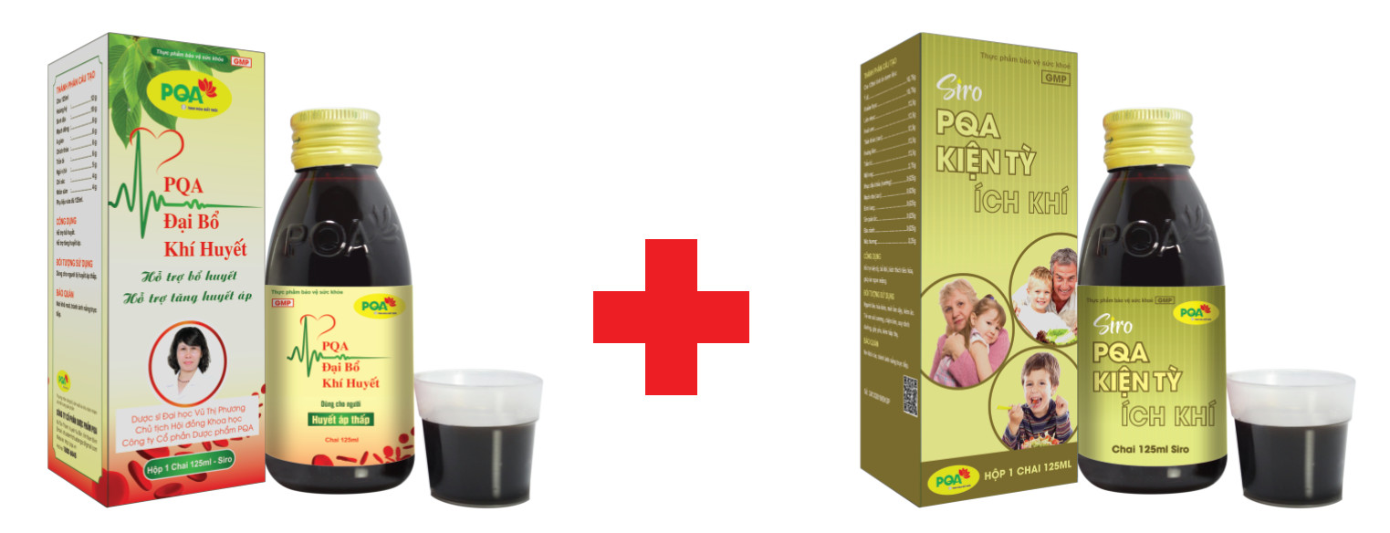 đại bổ khí huyết và kiện tỳ pqa