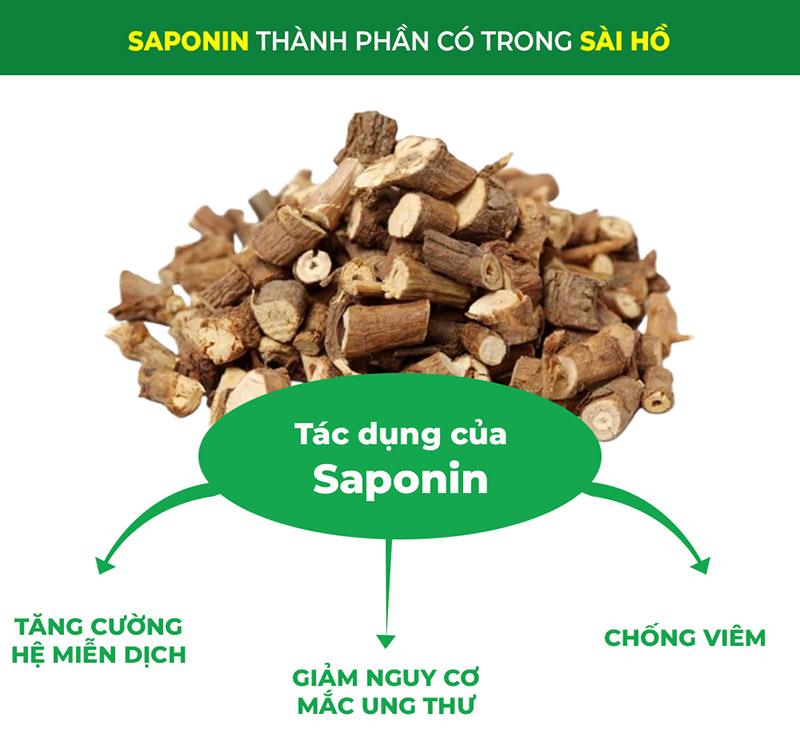 thành phần trong sài hồ