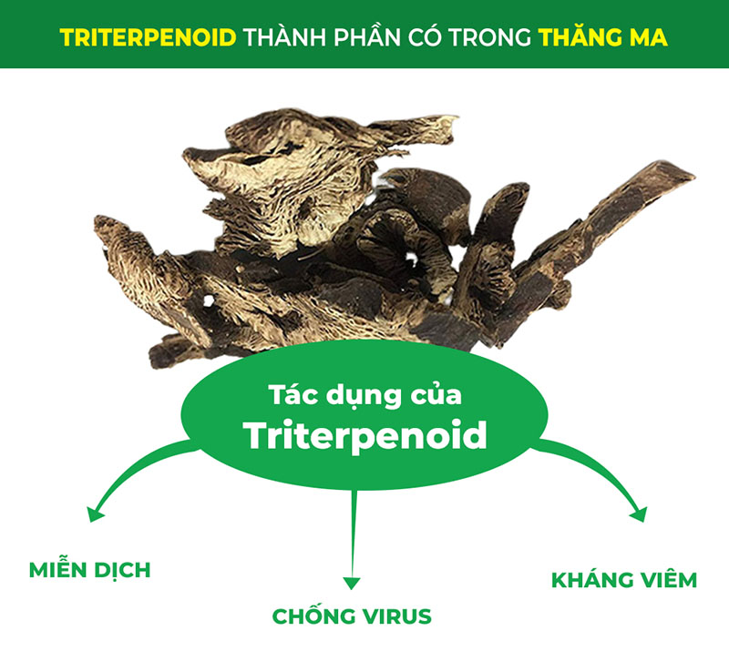 thành phần hoá học của thăng ma