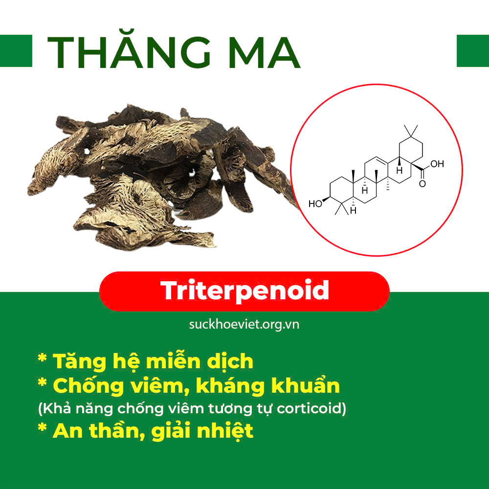 thành phần hoá học của thăng ma
