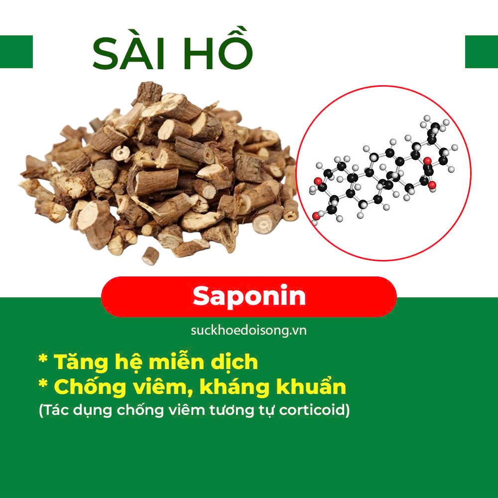 thành phần trong sài hồ