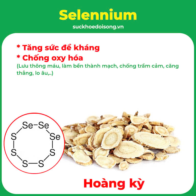 pqa an thần bổ tâm 2