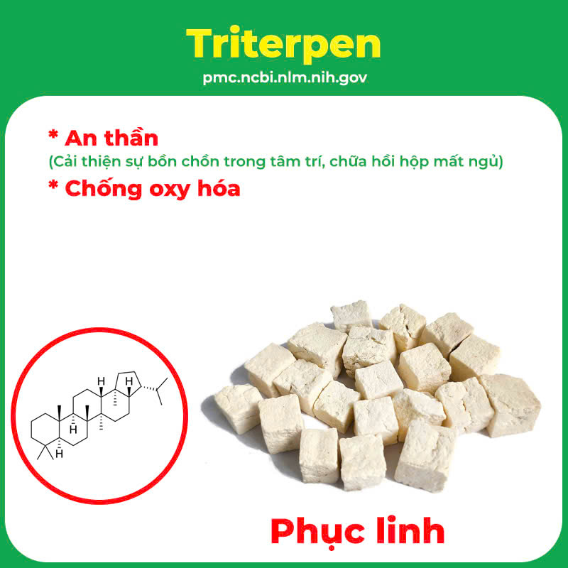pqa an thần bổ tâm 5