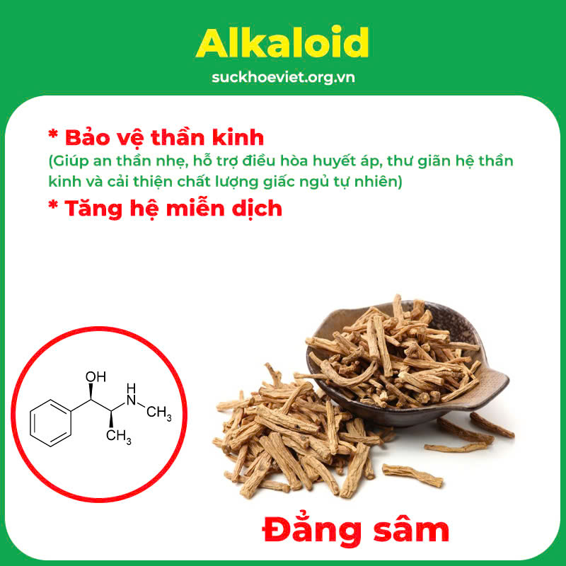 pqa an thần bổ tâm 6