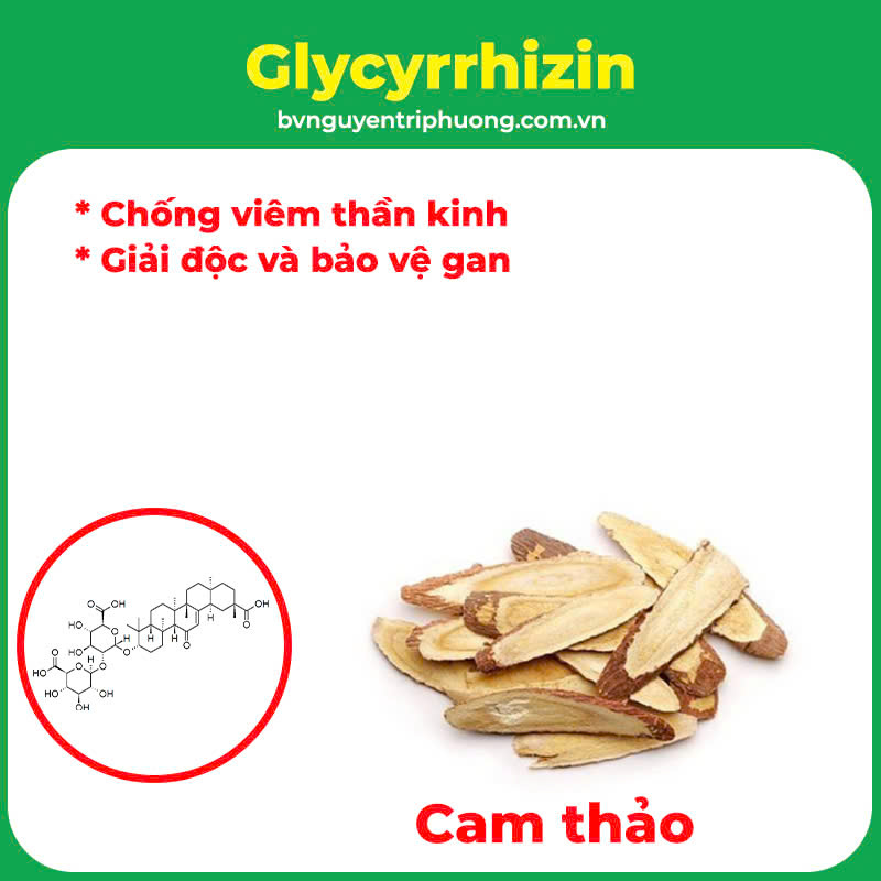 pqa an thần bổ tâm 8