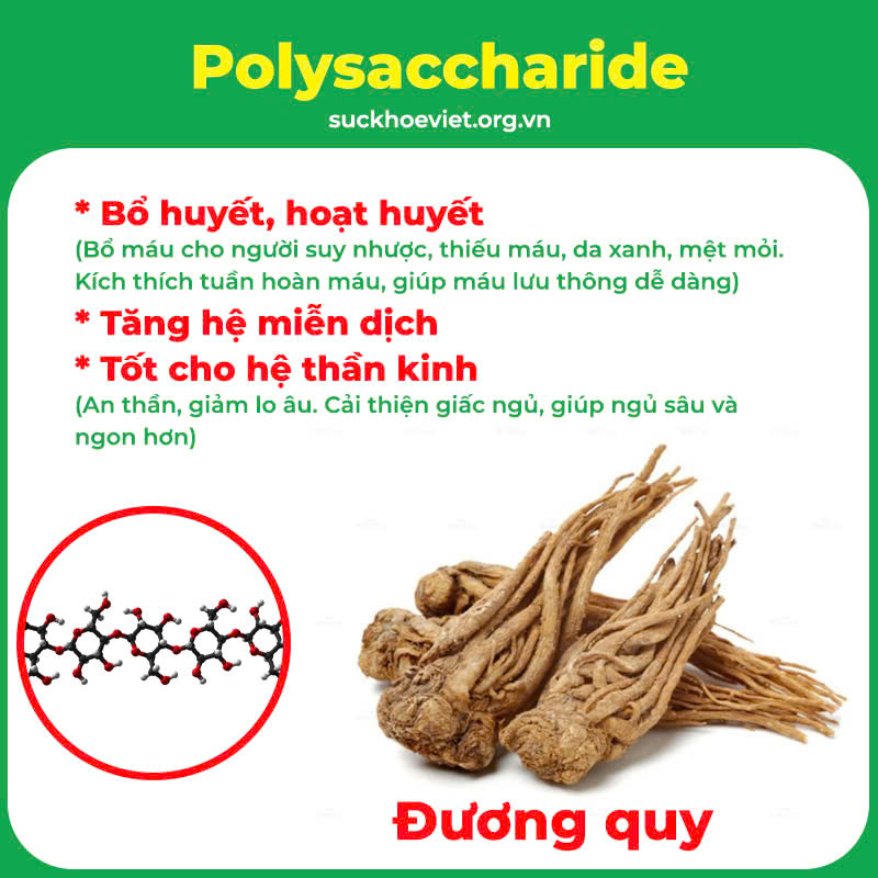 pqa an thần bổ tâm 9