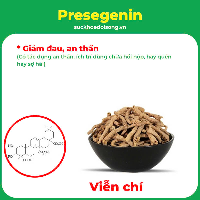 pqa an thần bổ tâm 10