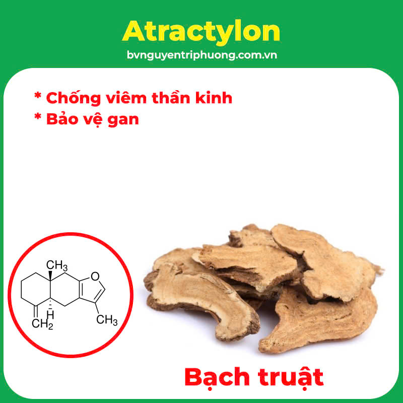 pqa an thần bổ tâm 1