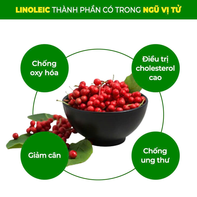 PQA Bổ Phế 1