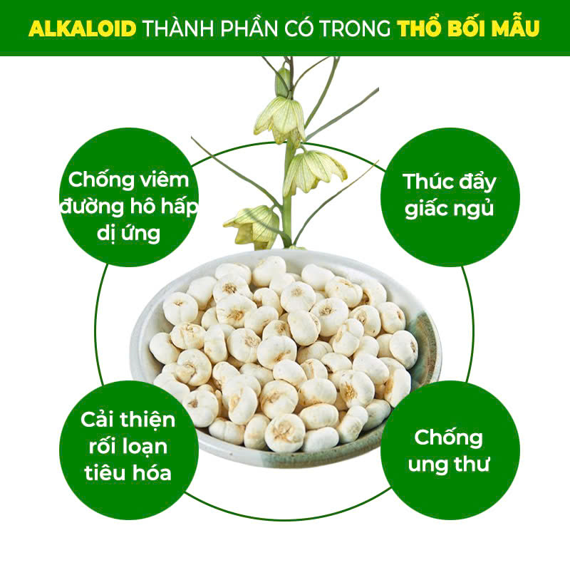PQA Bổ Phế 3