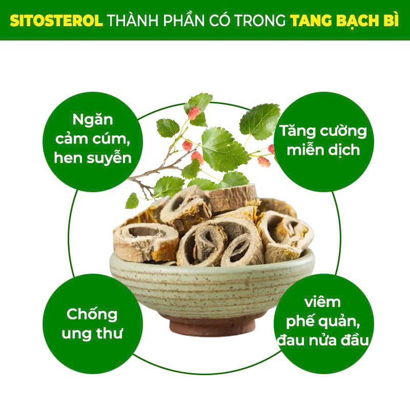 PQA Bổ Phế 5