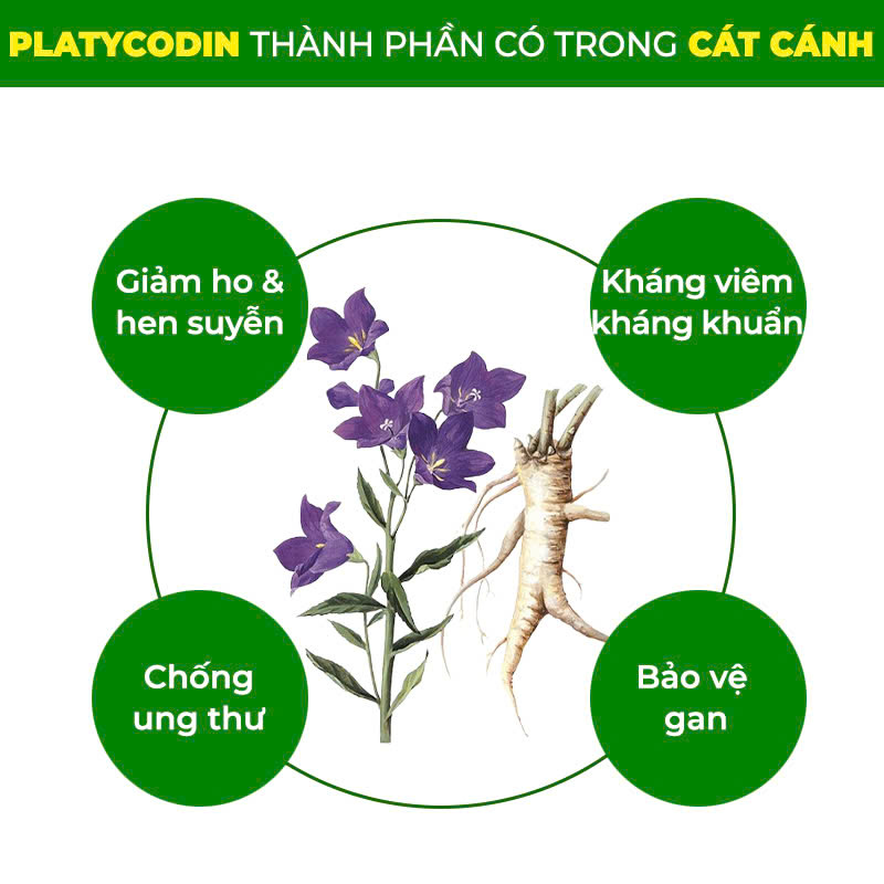 PQA Bổ Phế 6