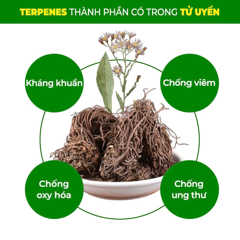 PQA Bổ Phế 9