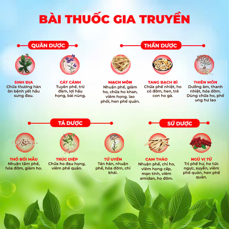 bài thuốc của pqa bổ phế