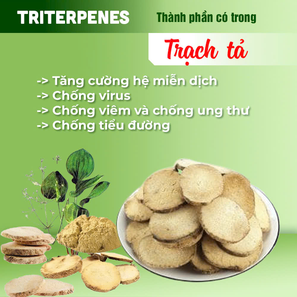 Bát Tiên Trường Thọ PQA 1