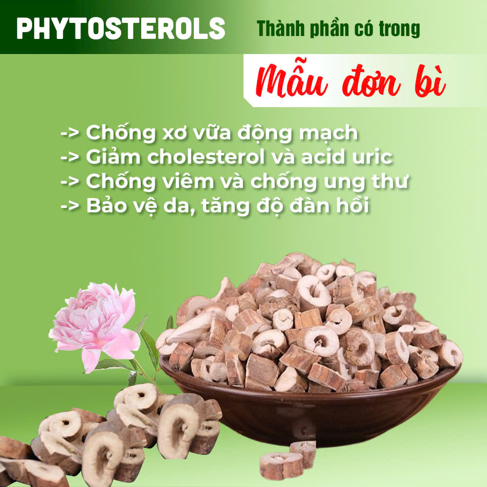 Bát Tiên Trường Thọ PQA 3
