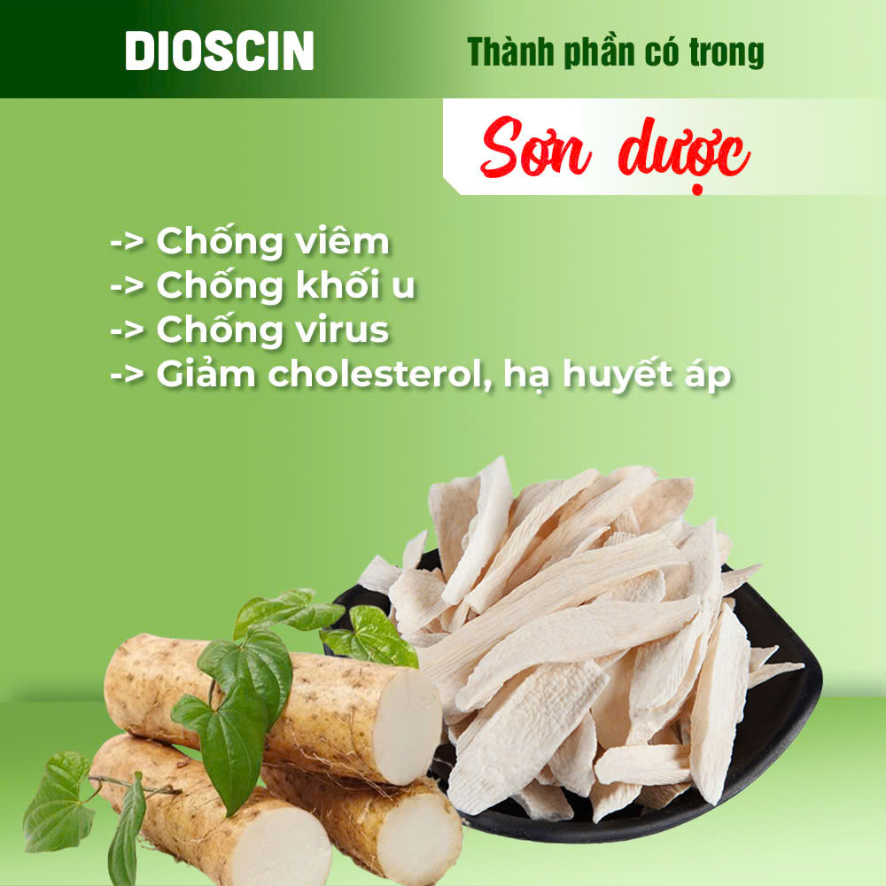 Bát Tiên Trường Thọ PQA 4