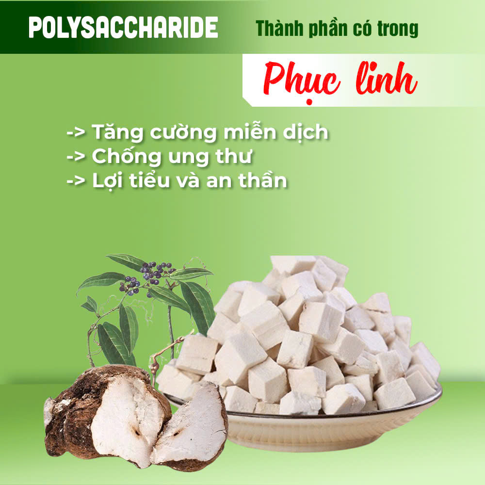 Bát Tiên Trường Thọ PQA 5