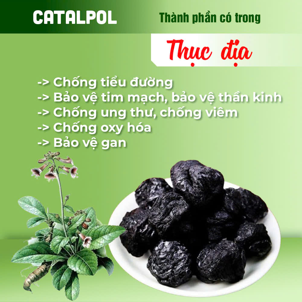 Bát Tiên Trường Thọ PQA 7