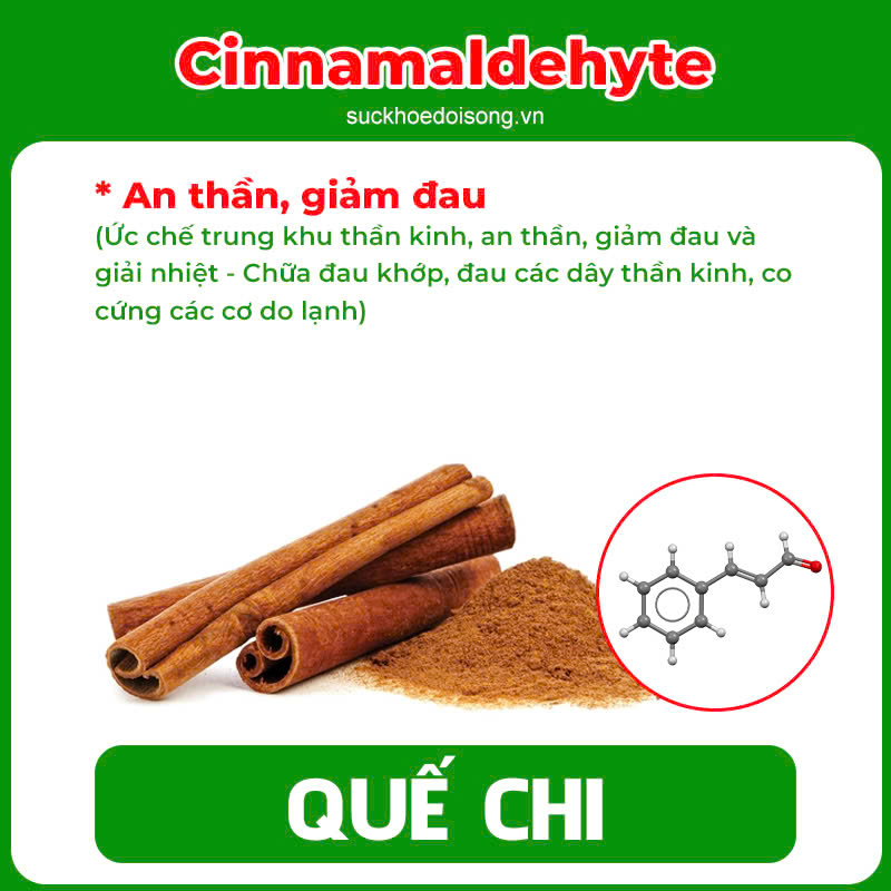 pqa dưỡng cốt 5