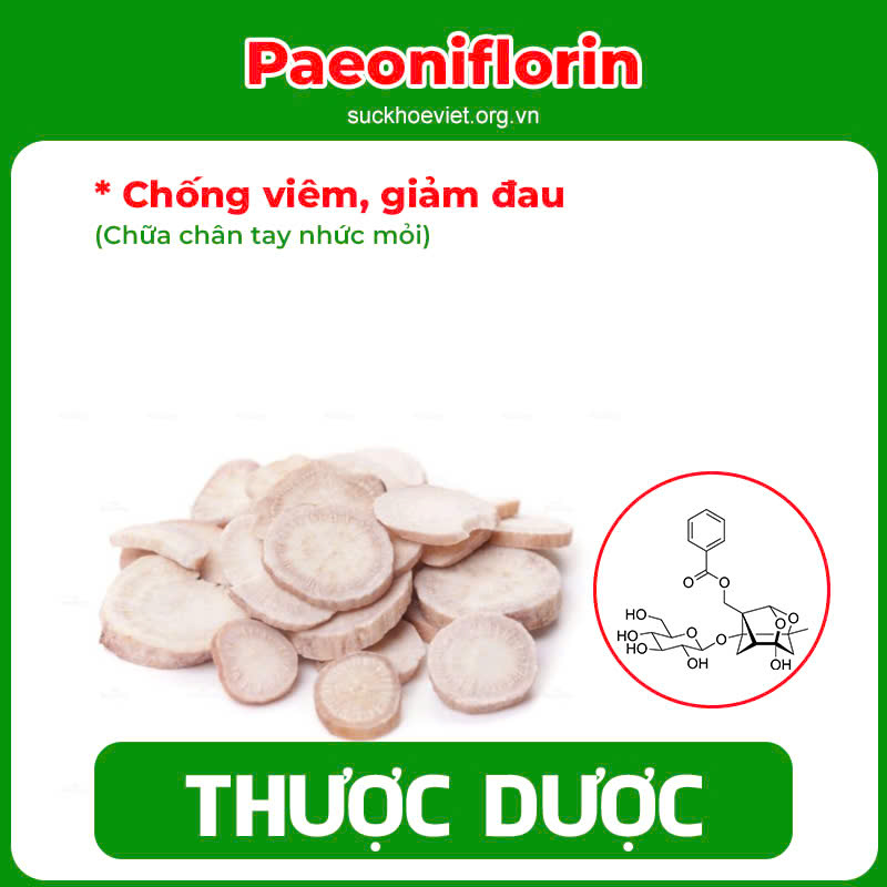 pqa dưỡng cốt 6