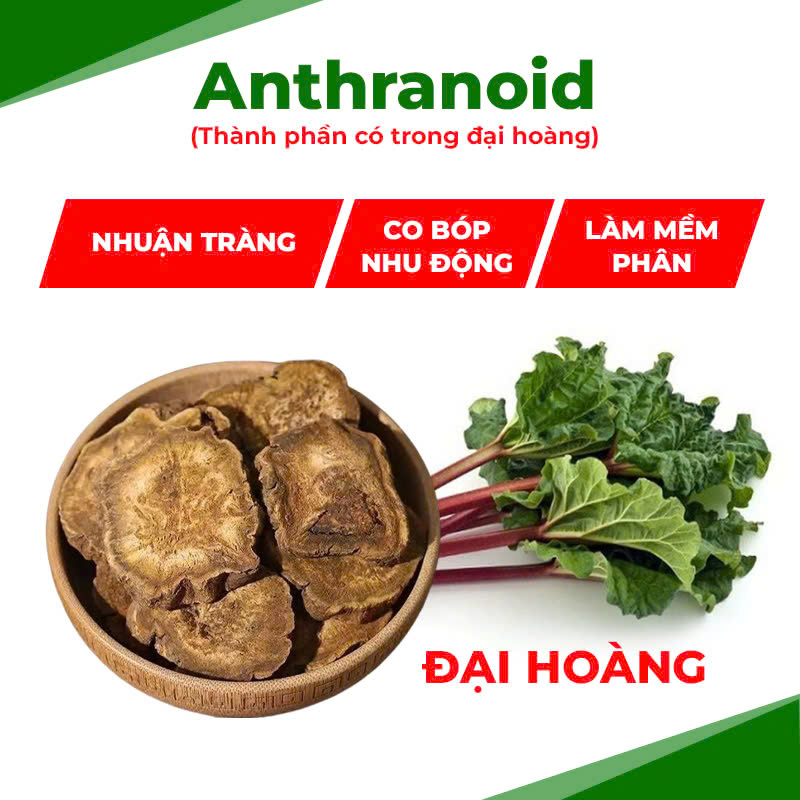 pqa đại hoàng 2