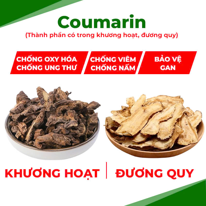 pqa đại hoàng 3