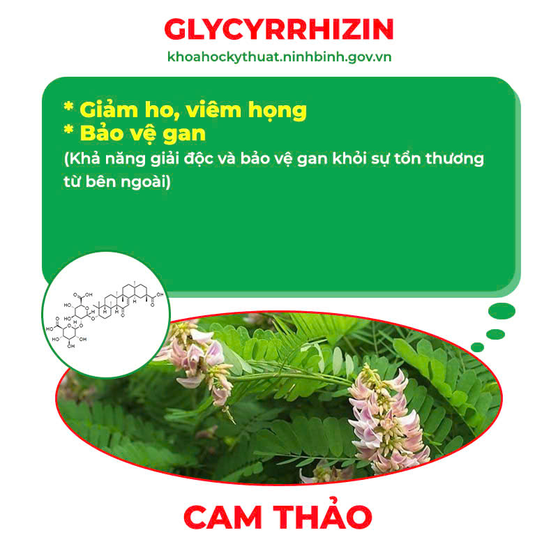pqa hạ khô thảo 1