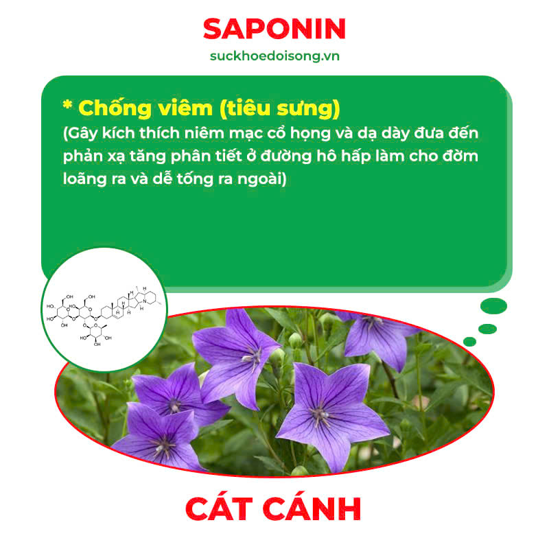 pqa hạ khô thảo 2