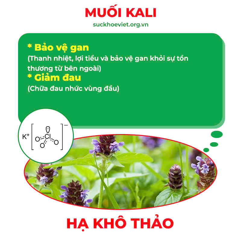 pqa hạ khô thảo 3