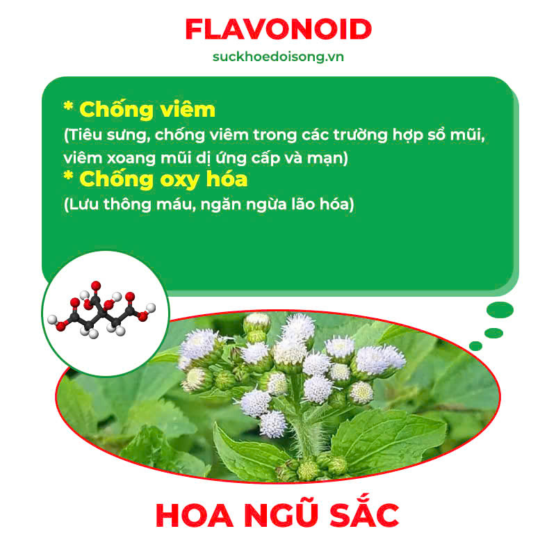 pqa hạ khô thảo 4