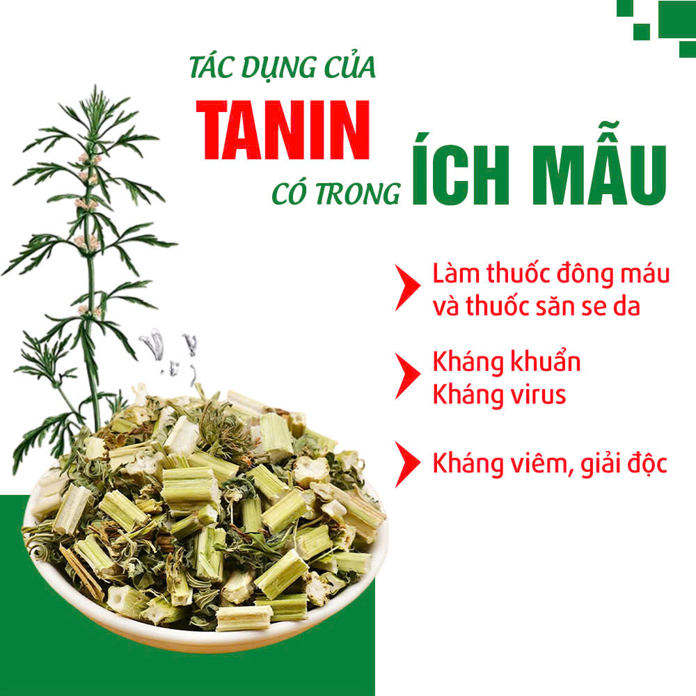dược liệu của pqa ích mẫu 1