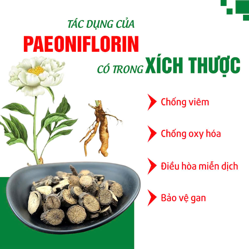 dược liệu của pqa ích mẫu 2