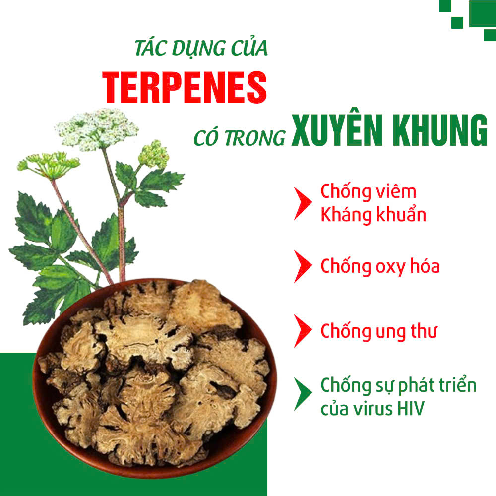 dược liệu của pqa ích mẫu 3