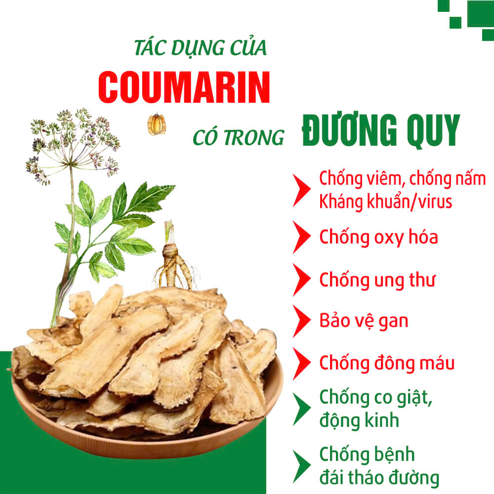 dược liệu của pqa ích mẫu 4