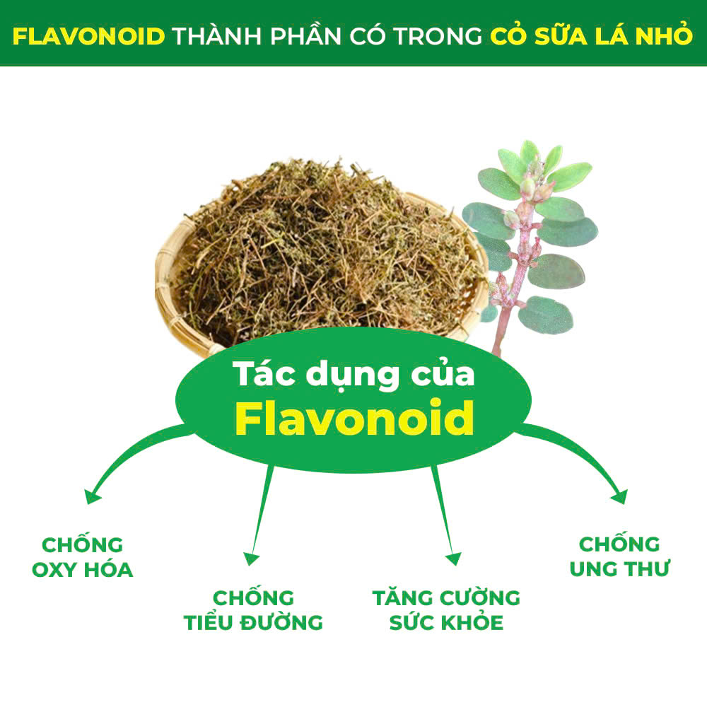 pqa cốm lợi sữa 3