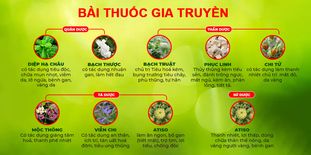 bài thuốc của pqa mát gan ống